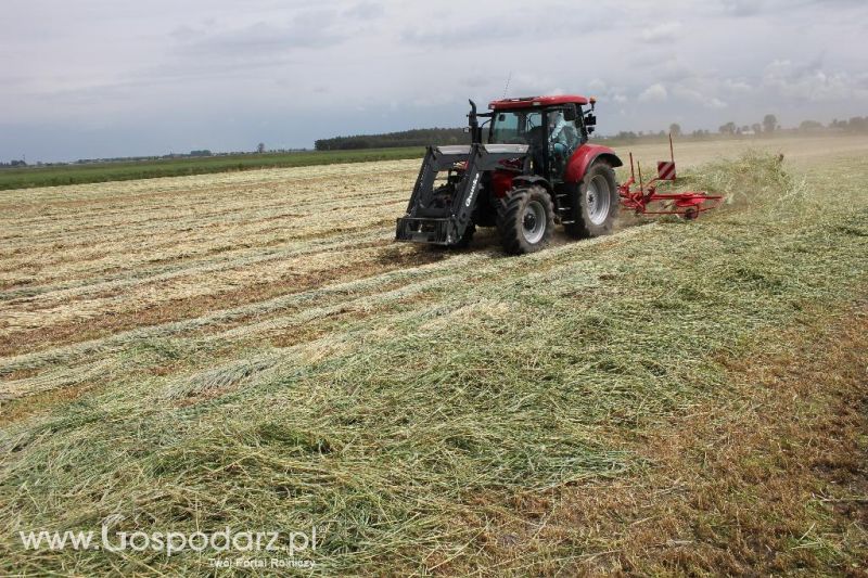 Pokazy polowe Romanów k/Krotoszyna