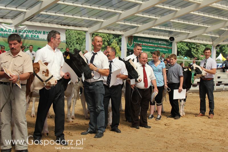 Czempioni XVII Regionalnej Wystawy Zwierząt Hodowlanych Sielinko 2011