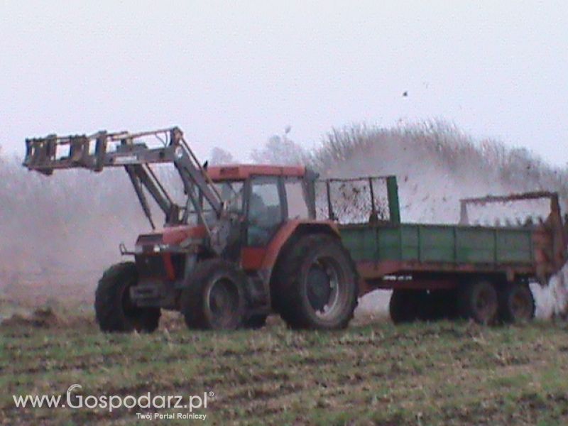 Wywóz  Obornik 2013