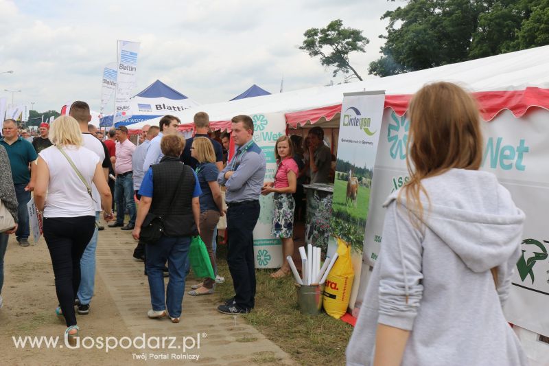 Intergen na Regionalnej Wystawie Zwierząt Hodowlanych i Dni z Doradztwem w Szepietowie 2017