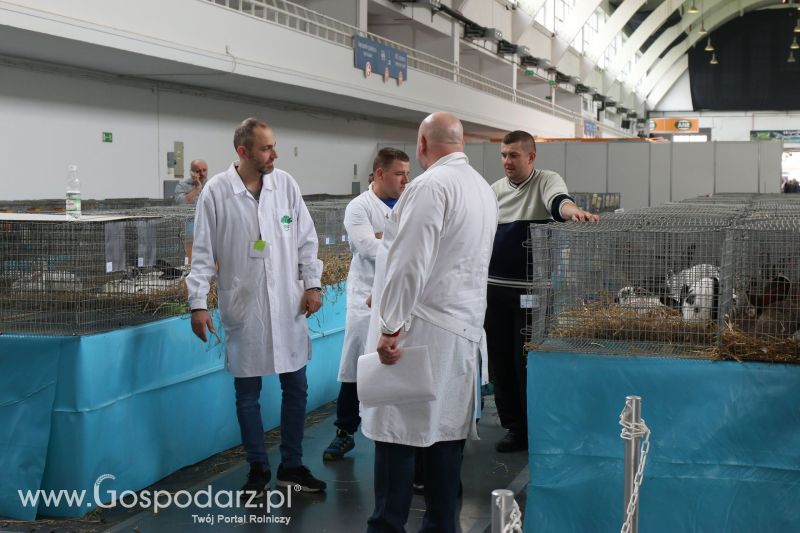 Krajowa Wystawa Zwierząt Hodowlanych w Poznaniu 2017 (sobota, 6 maja)