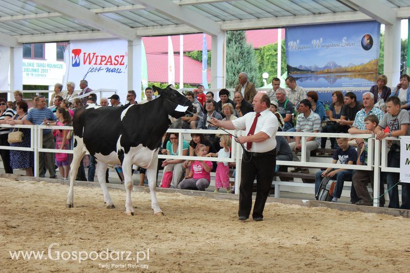 Czempioni XVII Regionalnej Wystawy Zwierząt Hodowlanych Sielinko 2011