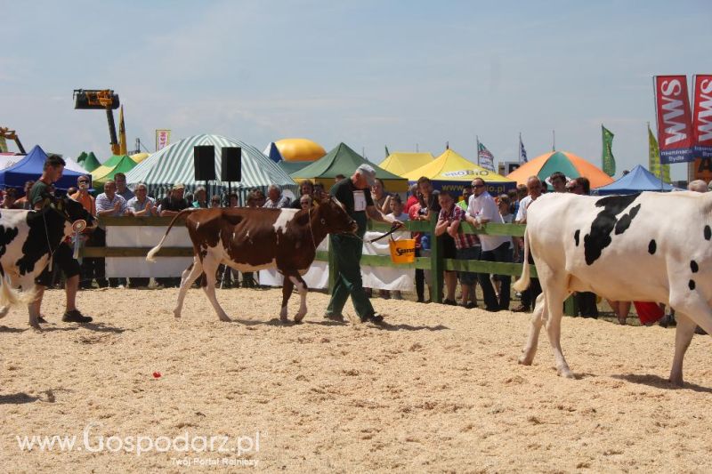 Opolagra 2013 cz.2