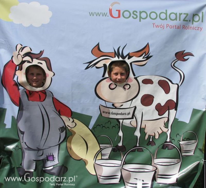 Wielkopolskie Targi Rolnicze „Sielinko 2011”  - Krówka Gospodarza