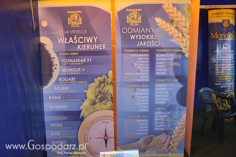 Polskie Zboża 2011 - Piątek 