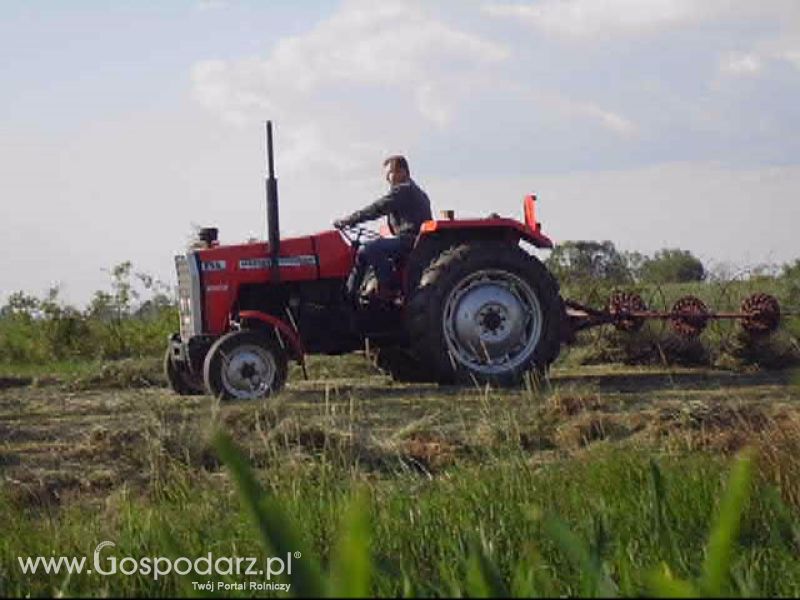 Sianokosy 2013