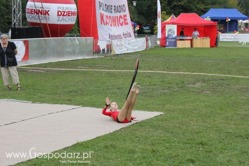 Świętomięs Polski w Chorzowie