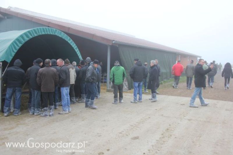 Wyjazd studyjny na farmę w Hohenhameln (Niemcy)