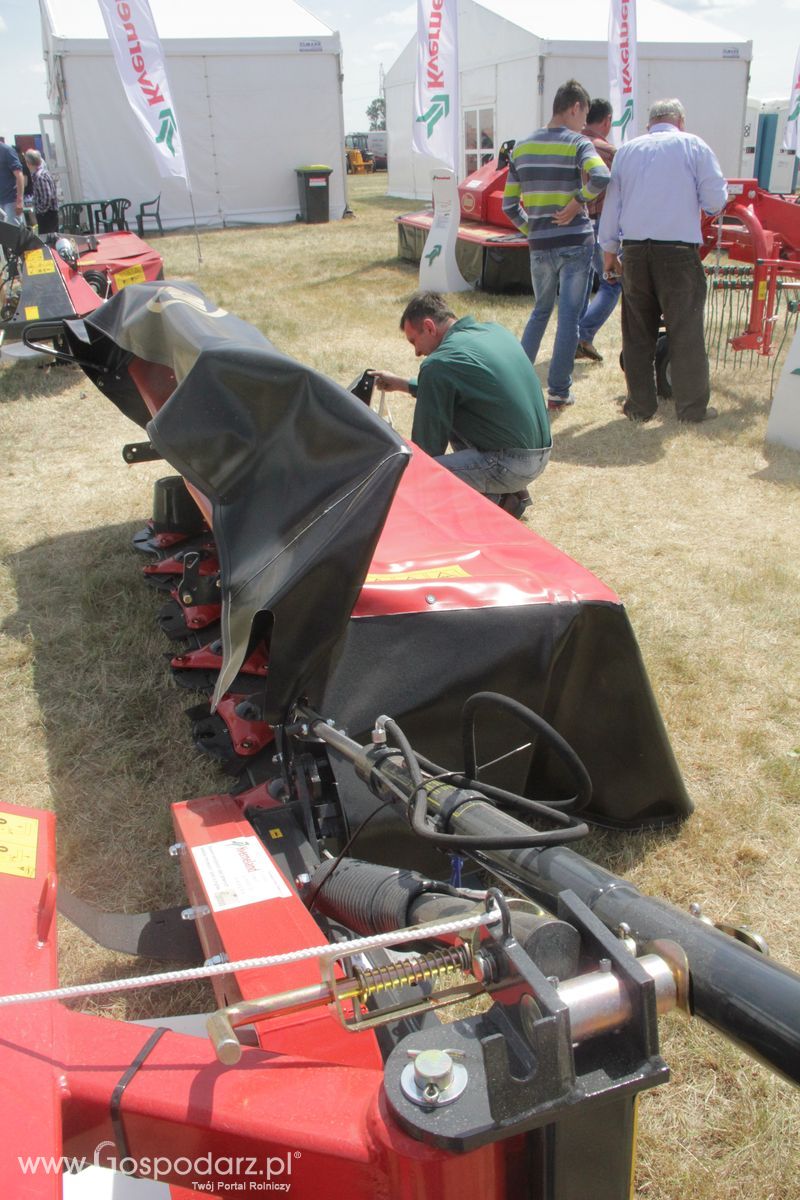 Zielone AGRO SHOW - Polskie Zboża 2015 w Sielinku