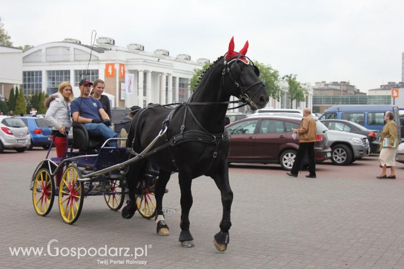 XXVI Krajowa Wystawa Zwierząt Hodowlanych - sobota i niedziela