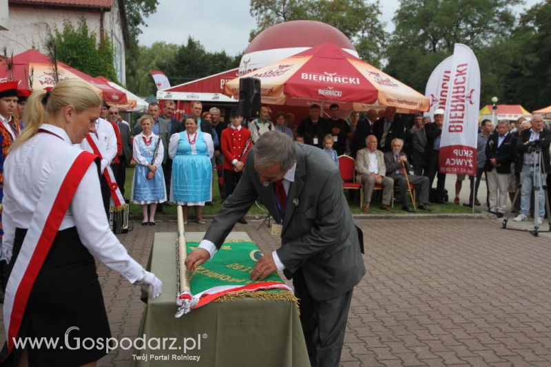 I Krajowa Wystawa Bydła Mięsnego w Sielinku - sobota