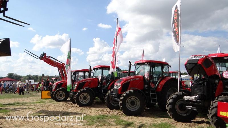 XVII Pałuckie Targi Rolne i XI Pałucka Wystawa Zwierząt Hodowlanych w Żninie