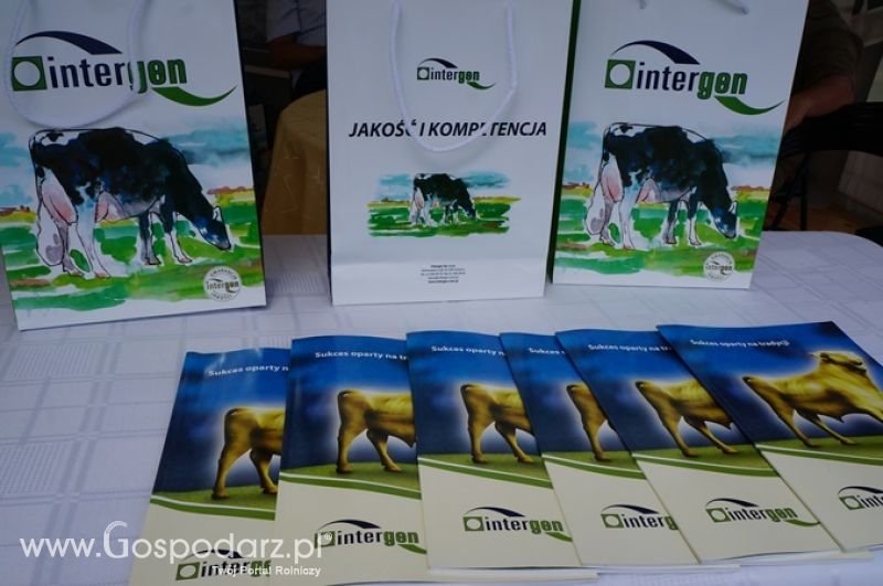 Intergen na OPOLAGRZE 2015