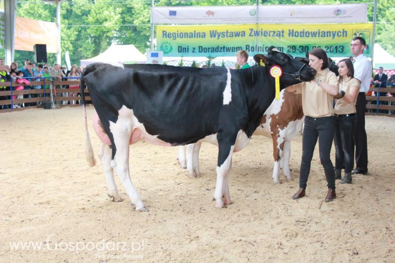 Regionalna Wystawa Zwierząt Hodowlanych i Dni z Doradztwem Rolniczym w Szepietowie-niedziela