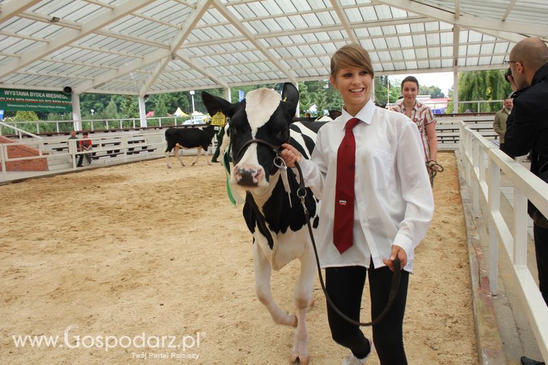 Wystawa bydła Sielinko 2011