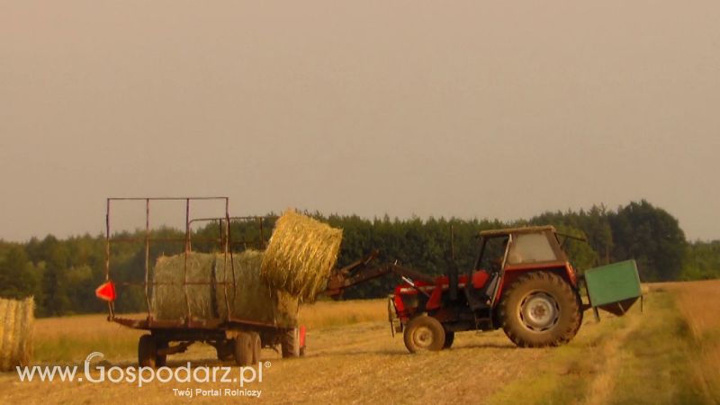 Zbiór Słomy 2013