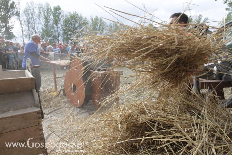 XIII Festiwal Starych Ciągników i Maszyn Rolniczych w Wilkowicach cz.1