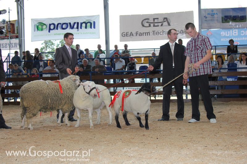 Wręczenie nagród na XVIII Regionalnej Wystawie Zwierząt Hodowlanych w Szepietowie
