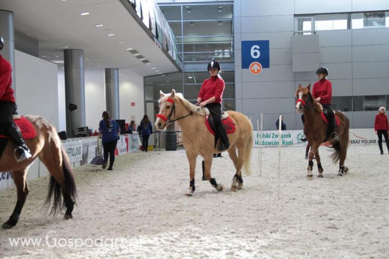 CAVALIADA 2013 w Poznaniu