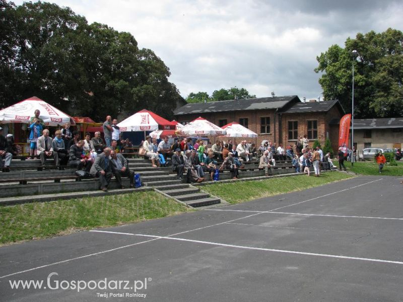 Festiwal Wieprzowiny w Koźminie Wielkopolskim 2013