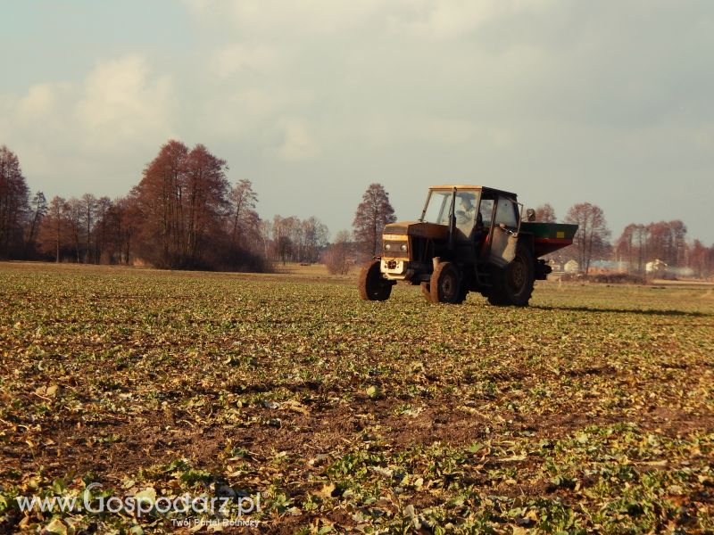 Nawozy z Ursus'em 1201