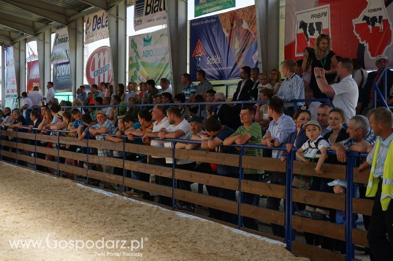 Wystawa zwierząt w Szepietowie