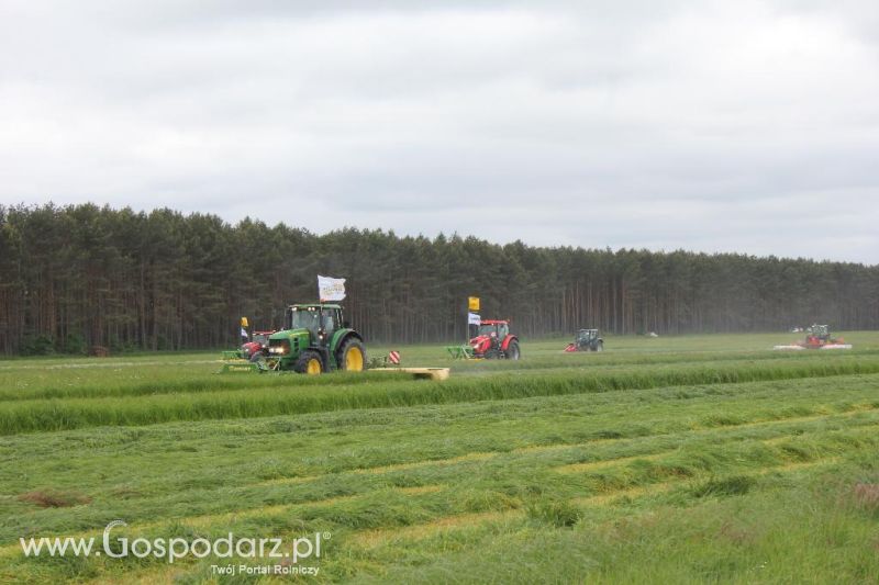 Pokazy maszyn Polskie Zboża Zielone Agro Show 2013
