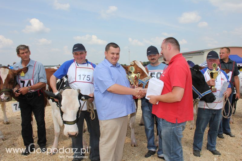 Superchampioni i championi Śląskiej Wystawy Bydła Mlecznego Opolagra 2011
