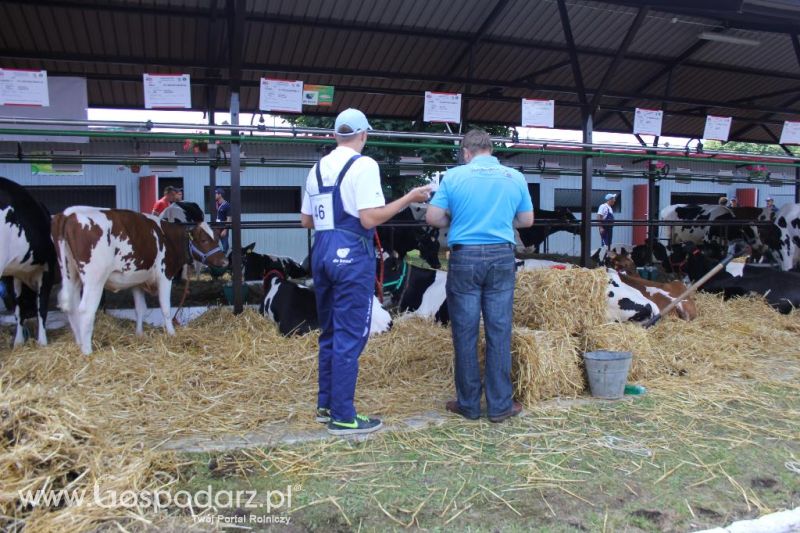 Regionalna Wystawa Zwierząt Hodowlanych i Dni z Doradztwem Rolniczym w Szepietowie-sobota