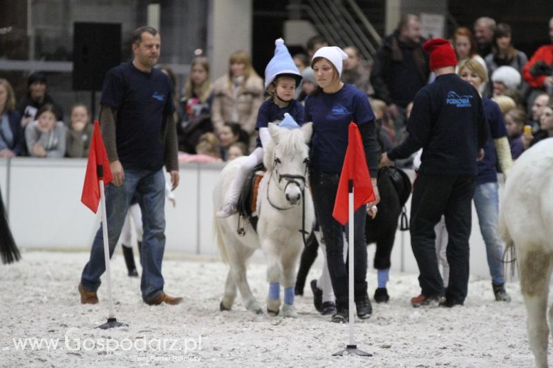 CAVALIADA 2013 w Poznaniu