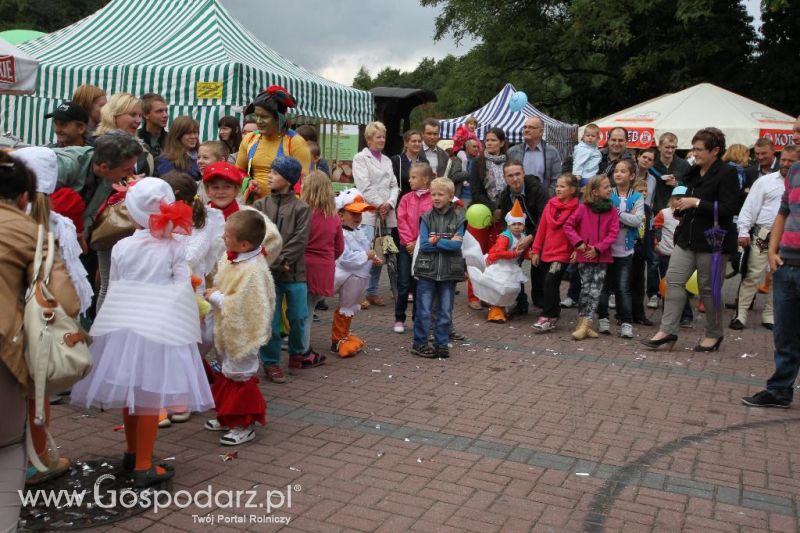 VIII Ogólnopolski Festiwal Pasztetników i Potraw z Gęsi