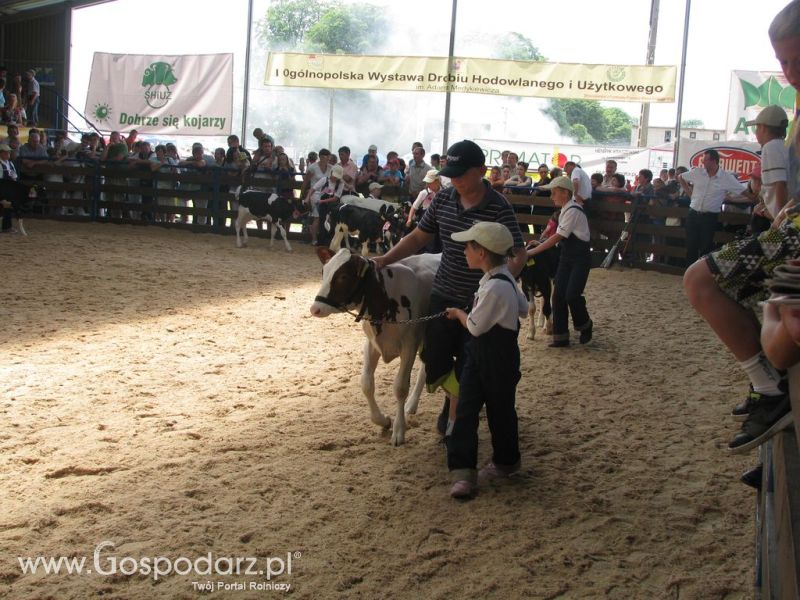 Młody Hodowca - Szepietowo 2012 XIX Regionalna Wystawa Zwierząt Hodowlanych