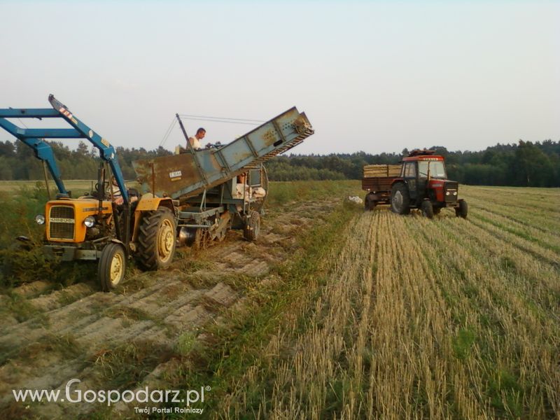 Prace polowe 2011