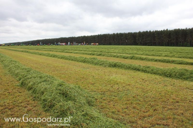 Pokazy maszyn Polskie Zboża Zielone Agro Show 2013
