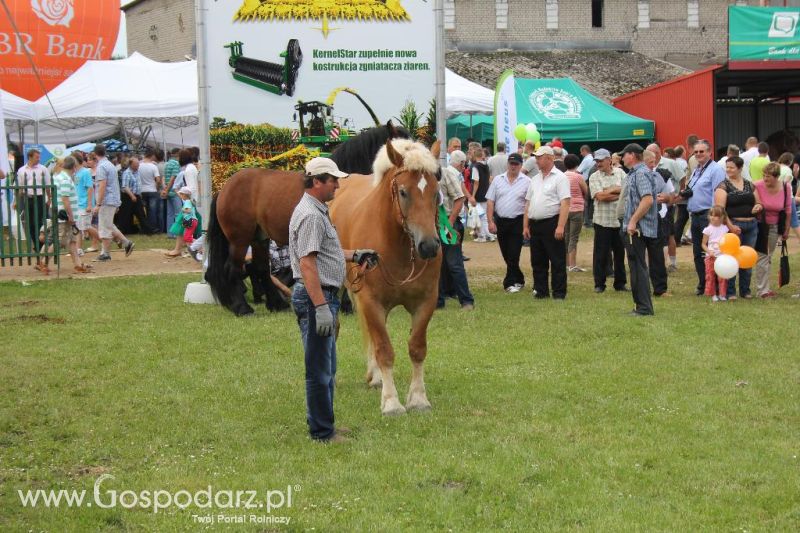 Regionalna Wystawa Zwierząt Hodowlanych i Dni z Doradztwem Rolniczym w Szepietowie-niedziela
