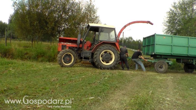Kiszonka 2013