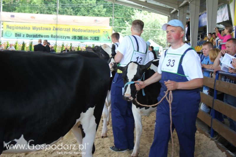 Regionalna Wystawa Zwierząt Hodowlanych i Dni z Doradztwem Rolniczym w Szepietowie-sobota