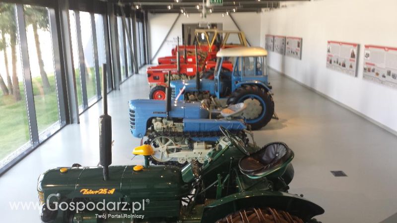 Precyzyjni Gospodarze w Czechach