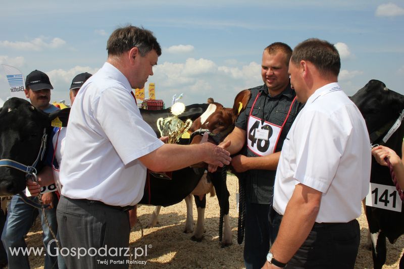 Superchampioni i championi Śląskiej Wystawy Bydła Mlecznego Opolagra 2011
