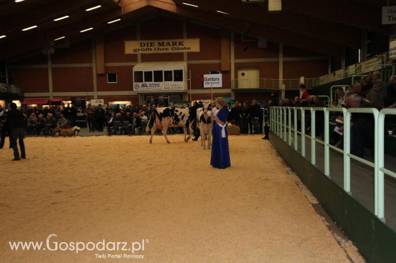 Wystawa  Blickpunkt Rind 2013 w miejscowości Paaren/Glien (Niemcy)