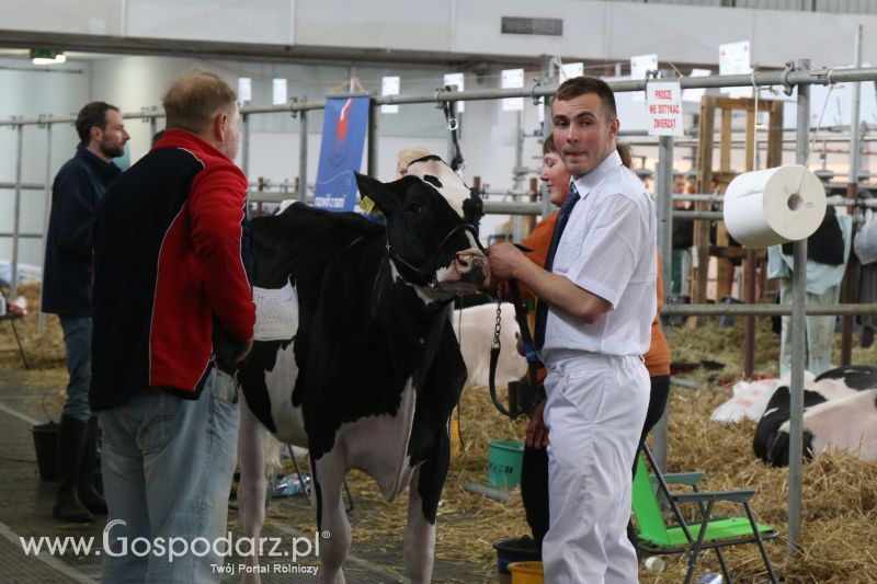 Krajowa Wystawa Zwierząt Hodowlanych w Poznaniu 2017 (piątek, 5 maja)