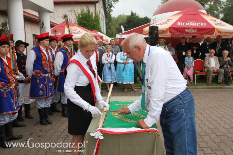 I Krajowa Wystawa Bydła Mięsnego w Sielinku - sobota