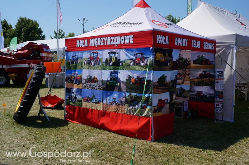 Grasdorf Koła Polska Sp. z o.o. na Targach Agro-Tech w Minikowie