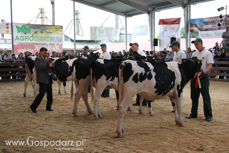 Wręczenie nagród na XVIII Regionalnej Wystawie Zwierząt Hodowlanych w Szepietowie