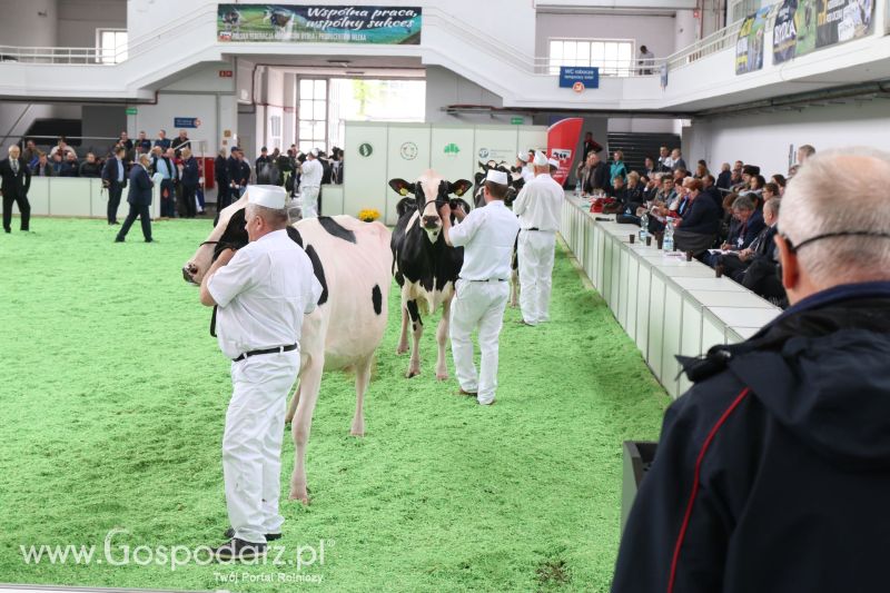 Krajowa Wystawa Zwierząt Hodowlanych w Poznaniu 2017 (piątek, 5 maja)