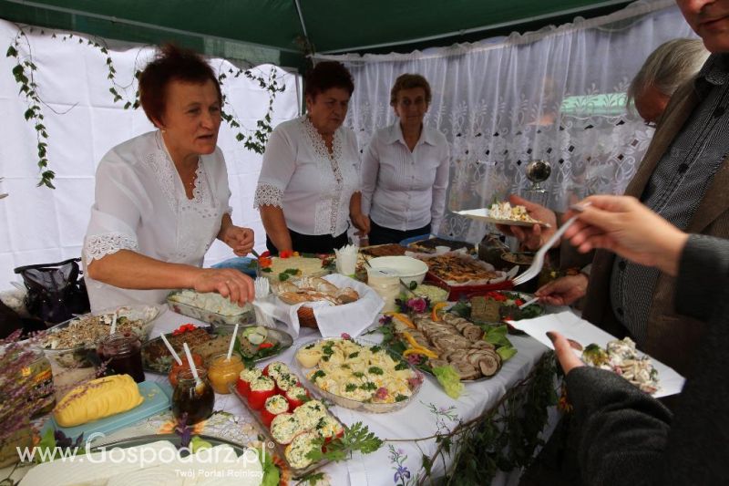 VIII Ogólnopolski Festiwal Pasztetników i Potraw z Gęsi