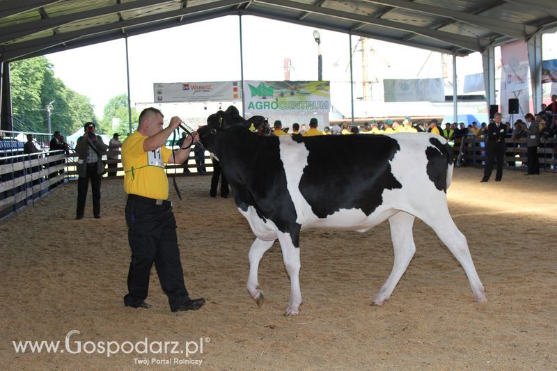 XVIII Regionalna Wystawa Zwierząt Hodowlanych i Dni z Doradztwem Rolniczym w Szepietowie - Sobota