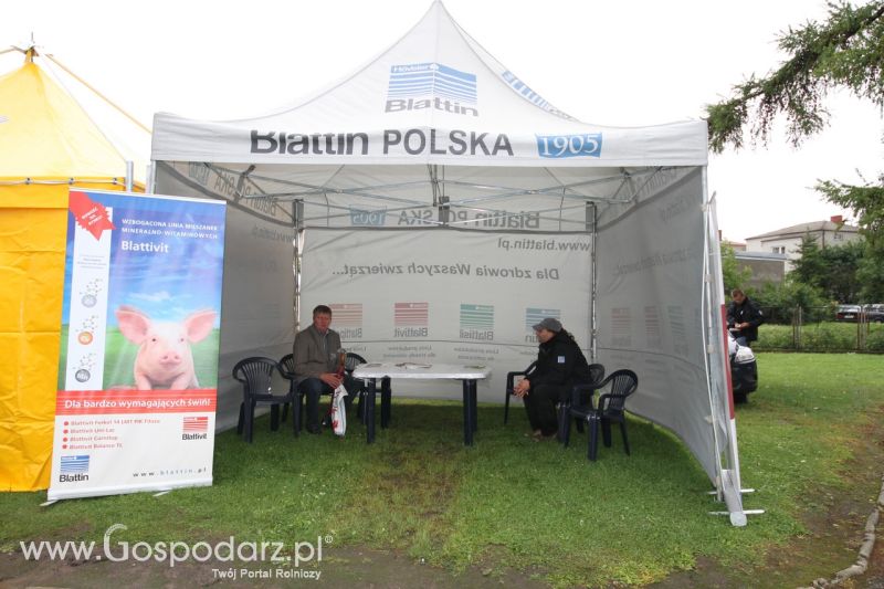 Festiwal Wieprzowiny w Bełżycach - niedziela
