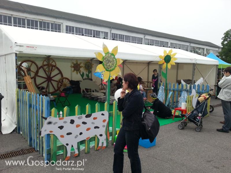 Mięsna Arena 2013 w Poznaniu