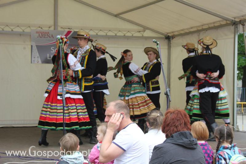 Mięsna Arena 2013 w Poznaniu